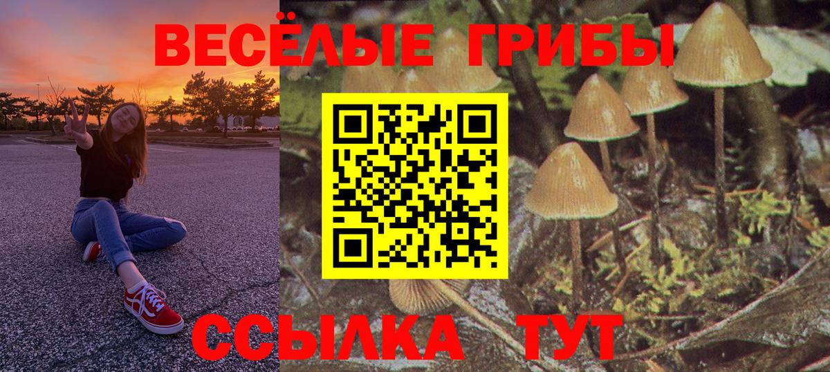 где найти наркотики  Галлюциногенные грибы мухоморы  Северодвинск  Вход с VPN  Галлюциногенные грибы мицелий 