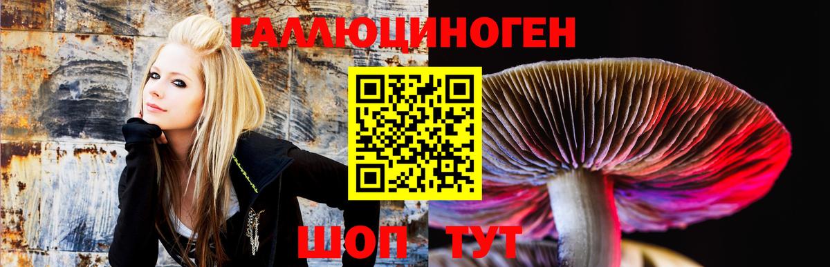Псилоцибиновые грибы Cubensis Северодвинск